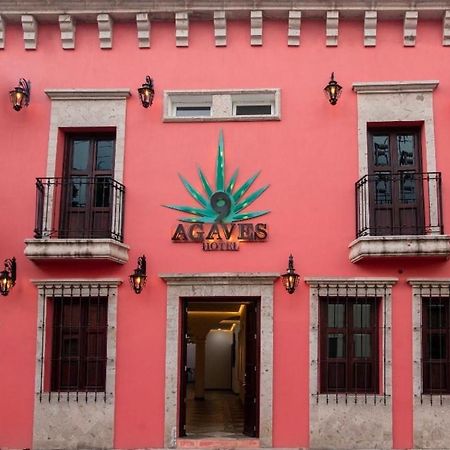 Nueve Agaves Hotel Tequila Exterior photo